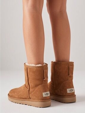 UGG Short Classic Boot in Chestnut Suede